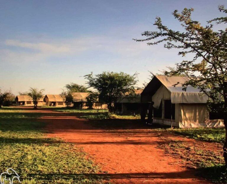 Tanzania safari accommodatie. Verschillende safaritenten op de Serengeti. Liggend aan een oker gekleurde weg