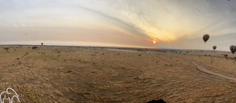 Landschap van de Serengeti met daarboven luchtballonnen