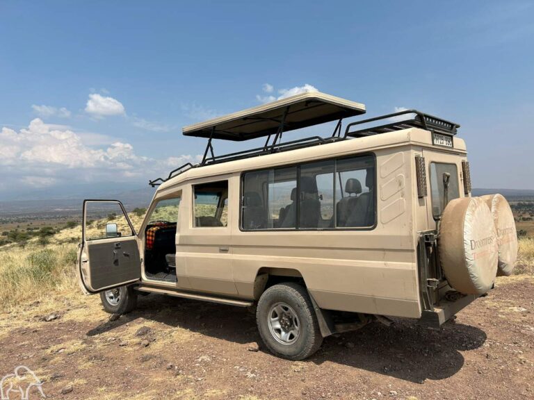 safariauto van droomreis tanzania in enduiment tanzania