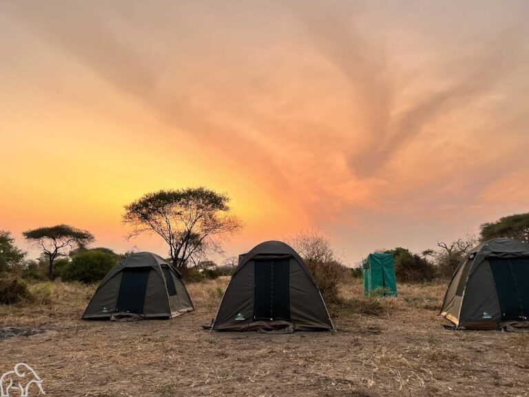 Special campsite in Tarangire bij een ondergaande zon