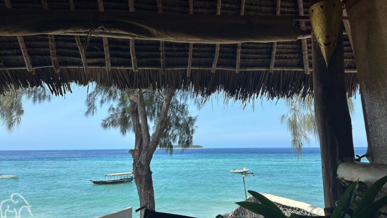 uitzicht vanuit de kamer bij Subnshine Marine lodge Zanziber