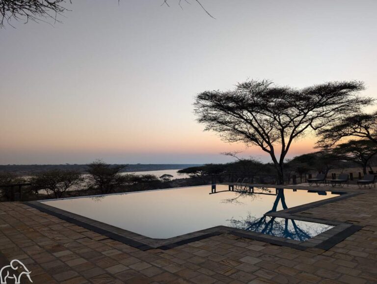 infinity pool met uitzicht over lake masek Ndutu Tanzania