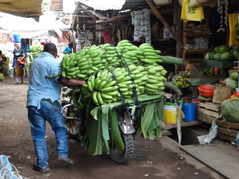 man met scoooter en daarop trossen bananen