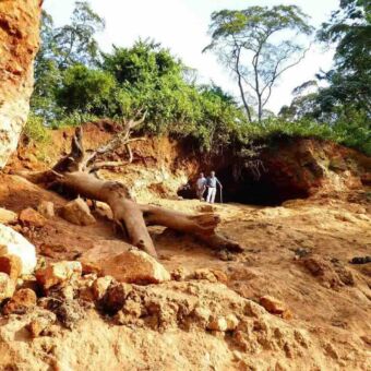 geelachtig zand met boomstam en daarachter twee mannen voor een grot met daarboven groen. De grot is gemaakt en wordt gebruikt door olifanten voor mineralen