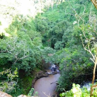 wandeling naar elegants cave waar we door groene bossen gaan met beneden ons riviertje