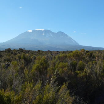 lopend over kleine paadjes met ruige begroting aan de zijkant onderweg naar het Shira Plateau kijken we uit op de top van de Kilimanjaro met sneeuw