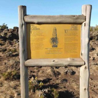 shira plateau op de kilimanjaro tanzania