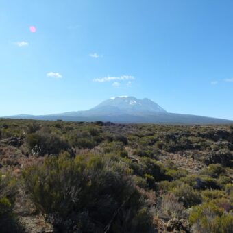 witte top van de Kilimanjaro Uitzicht op de witte top van de Kilimanjaro wandelend over rotsachtige grond met stevige heide achtige planten op weg naar shira plateau