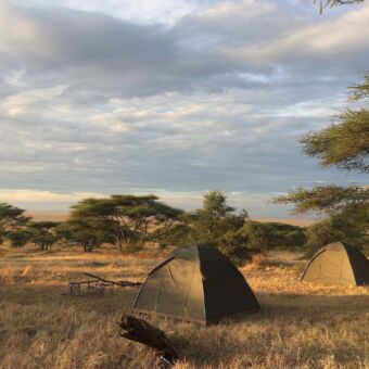Rondreis Tanzania. Special Campsite. Twee koepeltentjes op een special campsite in de Serengeti met uitzicht over het goud gele gras en acacia bomen onder een bewolkte lucht.