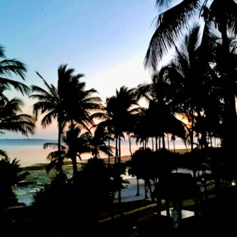 palmbomen licht schemerig palmbomen in de wind met daarachter het strand en de indische oceaan bij Mafia Tanzania