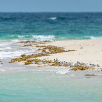 geheim eilandje verborgen eiland