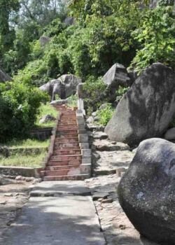 stenen pad met daarachter een trap die langs rotsen door een groen bos loopt