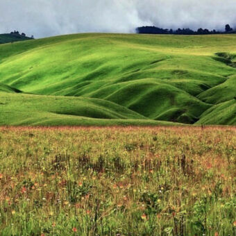 glooiend landschap groen glooiend landschap met veel kleine gloeiend heuvels die fel groen zijn in Kitulo Tanzania