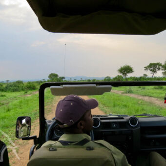 gamedrive vanuit een open safari auto kijkend over de chauffeur naar het groen landschap van MIkumi