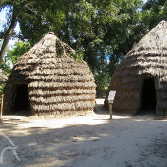 village museum huisjes in de vorm van een rondje met puntdak gemaakt gras en palmbladeren in het village museum Dar-es-Salaam