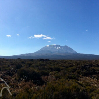 witte top uitzicht op de wolkeloze witte top van de kilimanjaro tijdens een wandeling naar het shira plateau