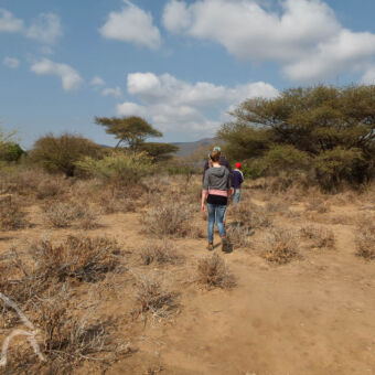 op jacht met de bushmen meisje en man met hadzabe jager lopend op zoek naar wild door een dor landschap met geel gras en groene lage bomen