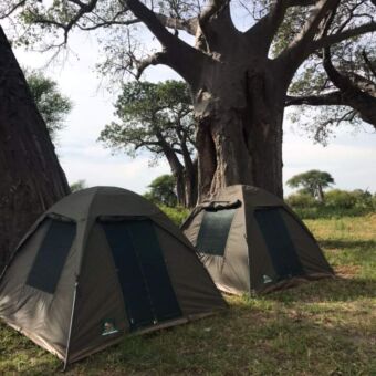 Speciale-overnachtingen-in-koepeltentjes-midden-in-de-bush