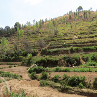 landbouw berg met allemaal terrassen voor de akkerbouw bij Usambara