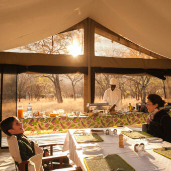 dining tent kind en vrouw aan gedekte tafel met daarachter het diner buffet met kok in een dining tent op de serengeti