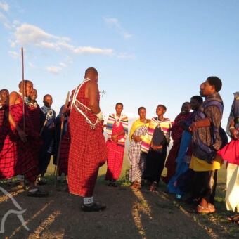 Masai speerwerpen heel veel masai mensen die klaar staan om gasten te leren speerwerpen