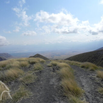 Ngorongoro highlands vanaf een heuvel een uitzicht over het landschap van Ngorongoro highlands met zwarte bergkammen erdoor grasland