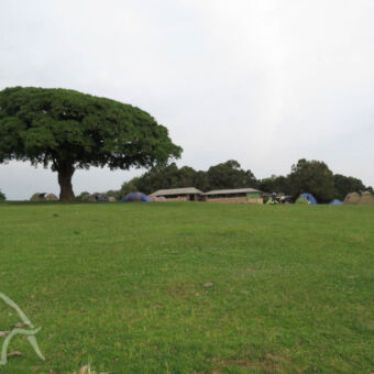 uitzicht over grasland naar de camping bij Ngorongoro krater met de toiletgebouwen en kook gebouw