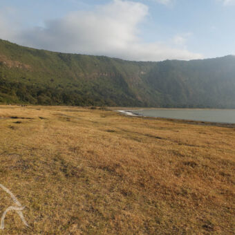 op de kraterbodem is een meer aan de rand van het meer met goodgeel gras en de kraterrim van de empakrai krater in de ngorongoro gebied