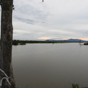 uitkijkend over de rifiji rivier tijdens een bootsafari in selous tanzania