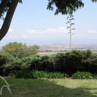 what a view! van de veranda uitzicht over het gras dan groene struiken met daarachter een vlakte en de kilimajaro tanzania