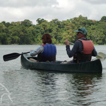 rustig peddelen man en vrouw peddelen op Lake Dulut met op de achtergrond een groen dicht bosi