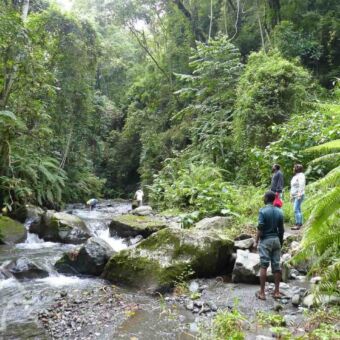 Drie mensen die op rotsen staan aan de oevers van een rivier kijkend naar mensen in de rivier vlakbij arusha tanzania