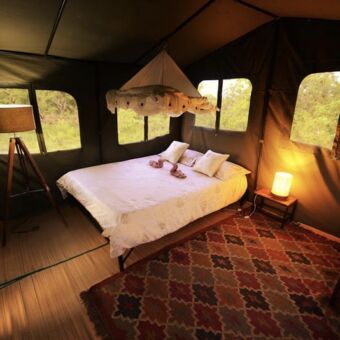 interieur tweepersoonsbed op houten vloer met kleed op een landrover gebouwd platvorm hoog boven de grond serengeti tanzania