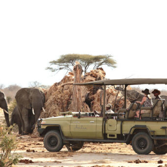 olifanten spotten in Ruaha open safari auto met dakje met twee gasten en een gids stilstaand bij een groep olifanten die naast een omgevallen baobab staan