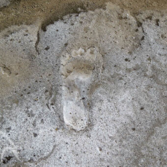duidelijke voetafdruk hele duidelijke voetafdrukken een rots van Homonid Footprints een van de oudst gevonden voetafdrukken