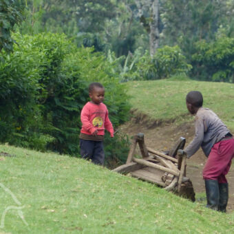 twee kleine kinderen die spelen met een kar in een groen heuvelachtig landschap in de buurt van arusha tanzania