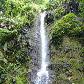 waterval van 50 meter met veel water in een hele groene omgeving met varens en schimmels bomen in de buurt van arusha