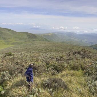 Masai in landschap een masai man met stok in de omgevingen ngorongoro highlands tanzania