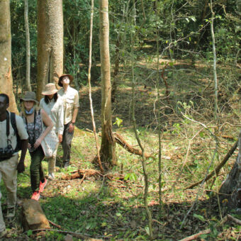 die mensen en een gids lopend door het bos op zoek naar chimpansees rubondo chimp tracking tanzania