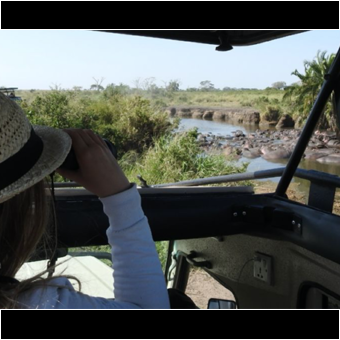 Vrouw met verrekijker kijkend op de Mara rivier met allemaal hippo's vanuit de safari auto