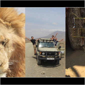 overzicht van een mannetjesleeuw met gouden manen safari auto met familie handen in de lucht masai bij lake natron safari voor 3 tanzania