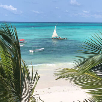 uitzicht met op de voorgrond palmtakken verderop strand en een azuurblauwe zee en vissersboot met zeil zanzibar