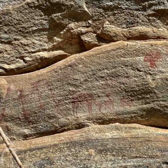 rotstekening in een rode kleur