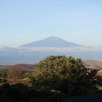 Kilimanjaro top met een beboste omgeving op de voorgrond