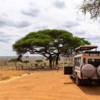 droomreis tanzania safari auto met de eur open en het dak omhoog bij een picknickplek op de serengeti
