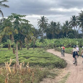 4 mensen op een mountainbike met een fietstocht door bananen plantages bij mto wa mbu tanzania