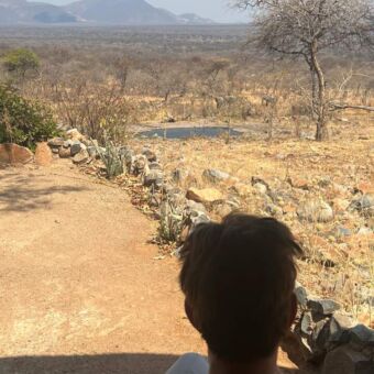 vrouw zittend op het terras bij hodi hodi kijkend naar de waterpoel en de olifanten verder op