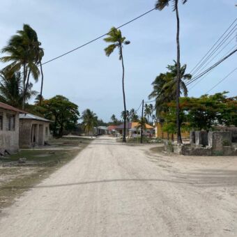 asfaltweg met palmen en kleine huisjes aan de zijkant op zanzibar