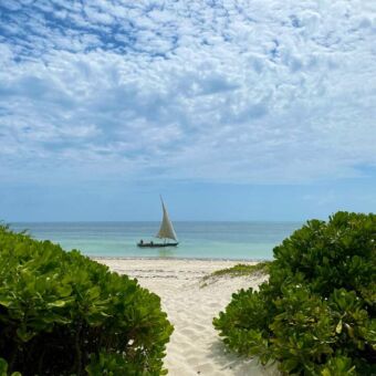 uitzicht over de indische oceaan met een dhow met aan de zijkanten groene bossen en strand