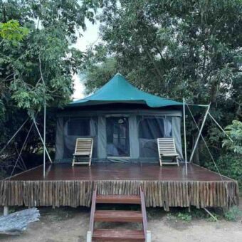 grote groene safaritent van voren met veranda tussen de bomen bij het greencamp lake manyara